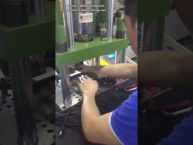20-T Vertical Injection Molding Machine for DC Plug and Cable PVC TPE PP PE