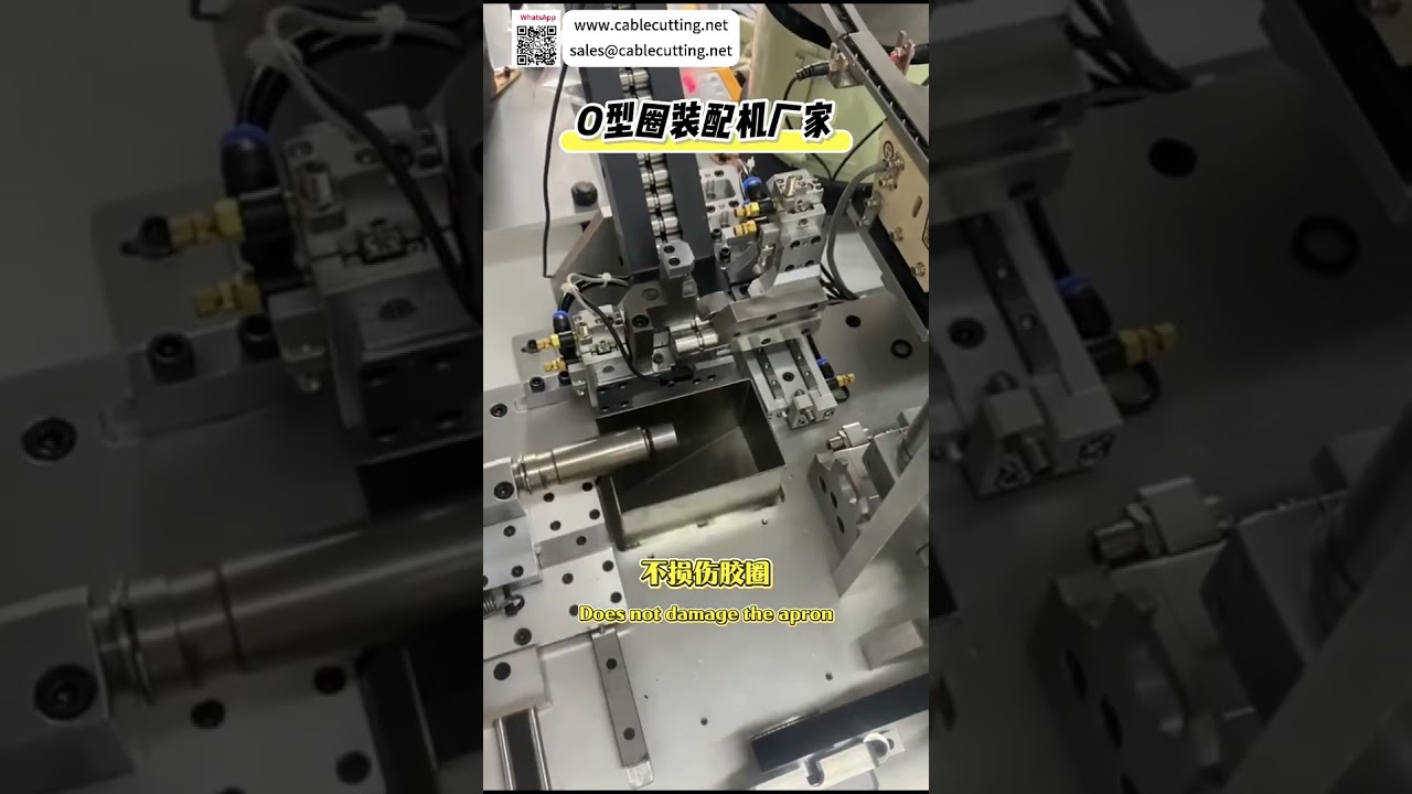 Automatic O Ring Assembly Machine High Precision Reliable Sealing Ring Equipment Supplier